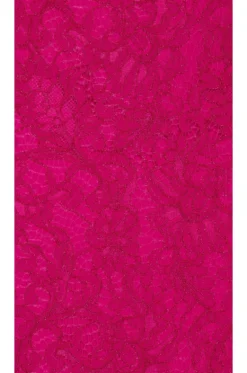Bardot Ivanna Lace Midi Dress Fuchsia -Fashion Clothing BARD WD602 V4
