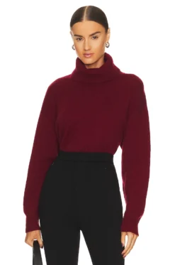 Equipment Melinda Turtleneck Syrah